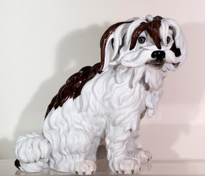 Файл:W IMG 9009.jpg